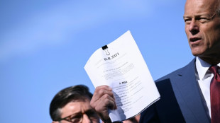 Senate rejects plan to end US government shutdown