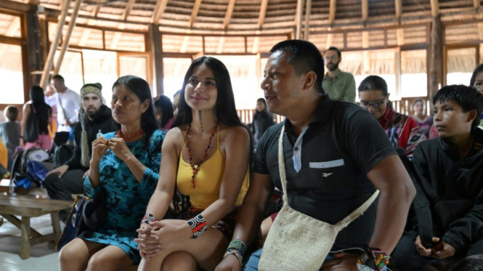 Ind&iacute;genas latinoamericanos se unen en contra del extractivismo