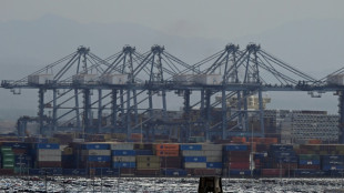 Medien: Trump will Auswirkungen von Zollpolitik auf Autohersteller abmildern