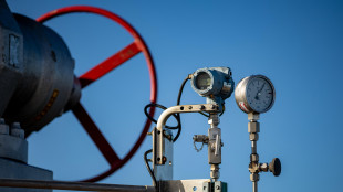 Il gas prosegue in calo poco sopra i 35 euro al Ttf di Amsterdam