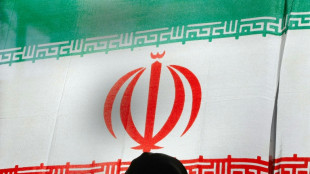 Studie: Deutschland wahrscheinlich Hauptziel von Iran-Fl&uuml;chtenden