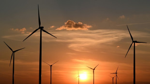 Klimaschutzbericht: Deutschland droht längerfristige Emissionsziele zu verpassen