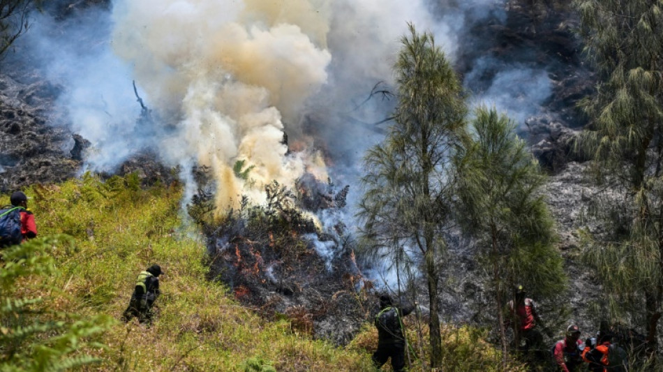 Indonesia lucha contra un incendio en el monte Bromo mientras se instala El Ni&ntilde;o