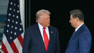 Seltene Erden gegen Sojabohnen: Ann&auml;herung von Trump und Xi in Handelsfragen