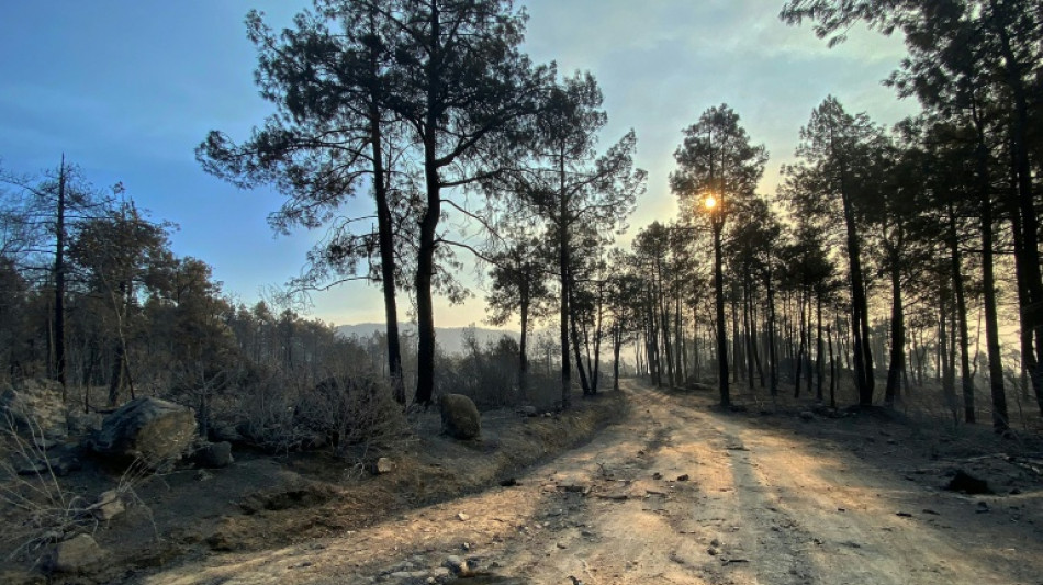 Espa&ntilde;a y Francia enfrentan d&iacute;as clave para frenar los incendios antes de nueva ola de calor