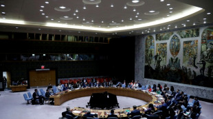 Gaza: pression sur les Am&eacute;ricains au Conseil de s&eacute;curit&eacute; de l'ONU