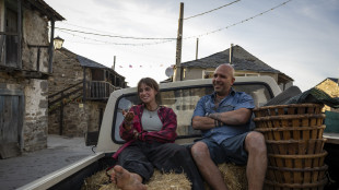 Buen Camino di Zalone domina inarrestabile il box office