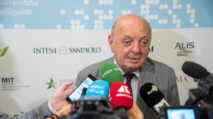 Pichetto, Italia ha elevatissima conoscenza sul nucleare