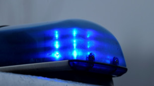 Schweres Unwetter in Rheinland-Pfalz - Eine Frau von Baum erschlagen