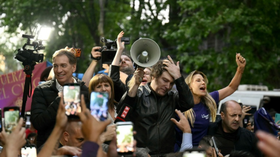 Cinco claves de las elecciones legislativas en Argentina