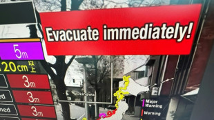 Violentos sismos en Jap&oacute;n provocan alertas de tsunami