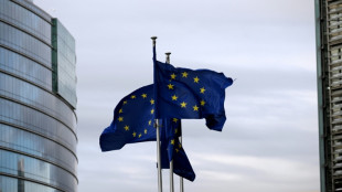 Streit mit Ungarn: Ukraine will Druschba-&Ouml;lpipeline bis Anfang Mai reparieren