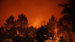 Incendies: ordre d'&eacute;vacuer le Cap-Ferret, plus de 10.000 hectares parcourus dans le Sud-Ouest
