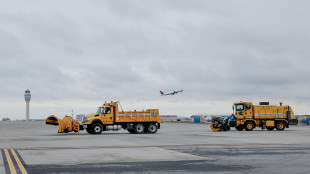 Ondata di gelo ferma i voli sull'aeroporto Reagan di Washington