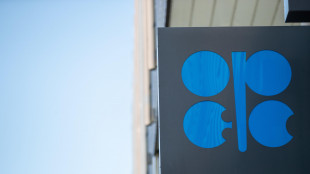 Opec+ indifferente al Venezuela, lascia produzione invariata