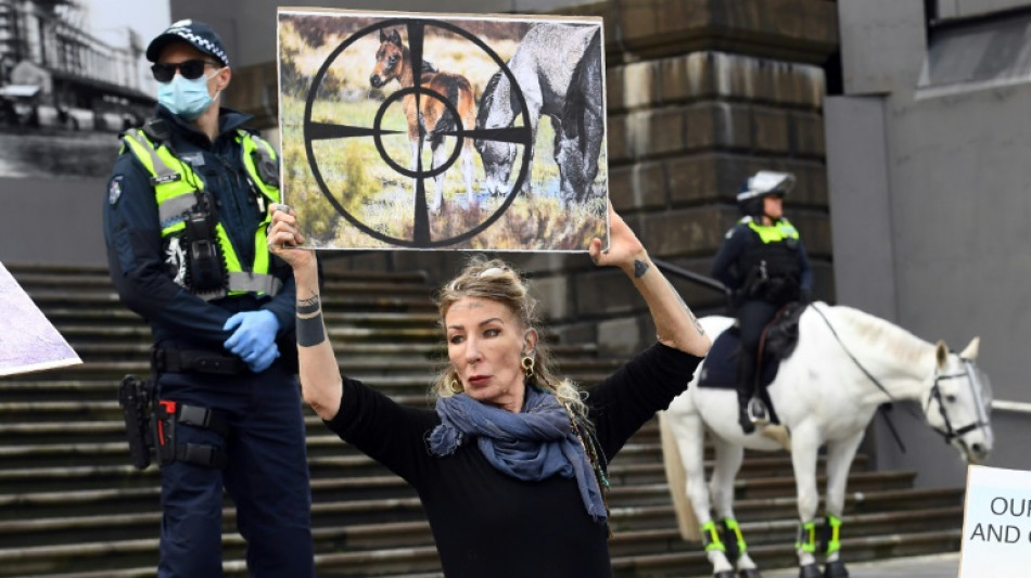 Australia reanudar&aacute; disparar desde el aire a caballos silvestres