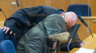 Un m&eacute;decin syrien condamn&eacute; &agrave; perp&eacute;tuit&eacute; en Allemagne pour crimes contre l'humanit&eacute; sous Assad