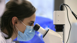 Branchenverband: Umsatz der Pharmaindustrie w&auml;chst 2025 deutlich um 2,5 Prozent