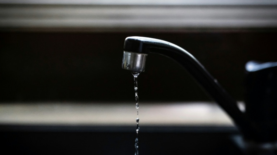 Polluants &eacute;ternels et perturbateurs endocriniens: les risques pendant la grossesse se pr&eacute;cisent