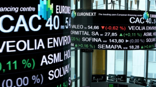 La Bourse de Paris dans le vert, loin du tumulte politique