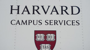 Trump apre un'inchiesta sui visti internazionali a Harvard