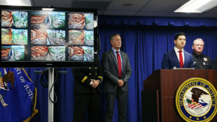 Palisades-Feuer in Los Angeles: Mutma&szlig;licher Brandstifter festgenommen