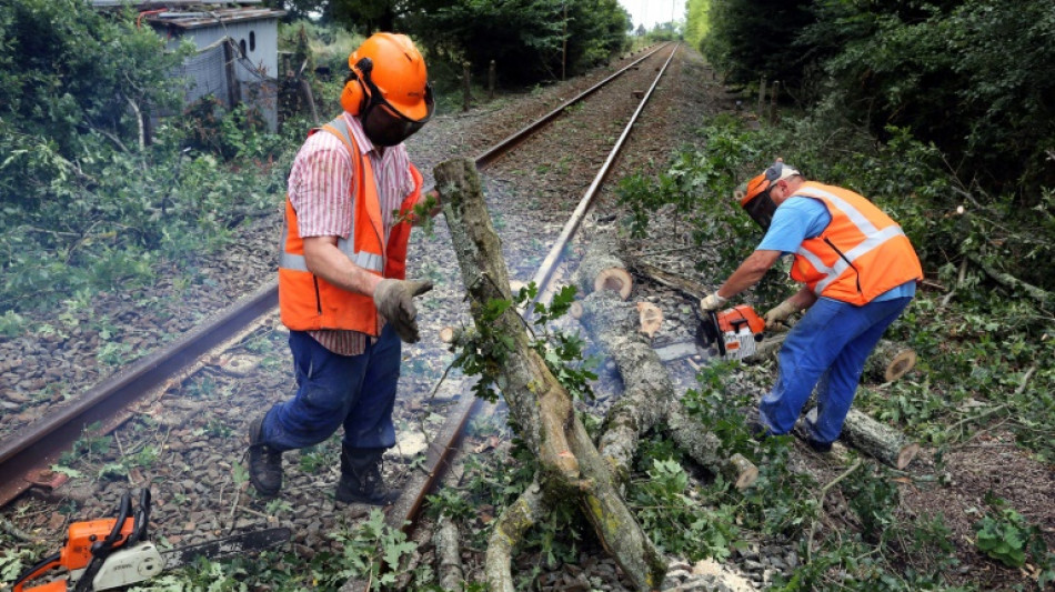 Temp&ecirc;te Ciaran: plusieurs dizaines d'incidents relev&eacute;s par la SNCF sur le r&eacute;seau ferroviaire