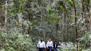 En Papouasie, Macron lance un nouveau partenariat pour prot&eacute;ger la for&ecirc;t