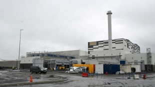 Automobile: la France prend un virage &eacute;lectrique avec sa premi&egrave;re usine de batteries