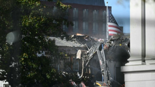 Casa Branca demite comit&ecirc; que supervisionava planos de constru&ccedil;&atilde;o de Trump em Washington