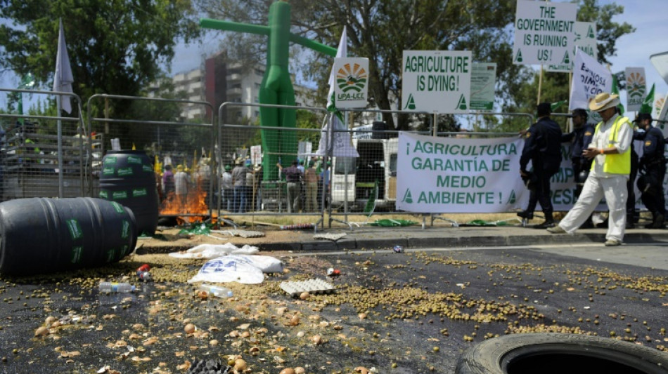 Las subvenciones agr&iacute;colas europeas, contrarias a los objetivos clim&aacute;ticos