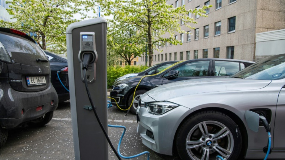 Automobile: l'&eacute;lectrique d&eacute;passe l'essence sur les routes de Norv&egrave;ge