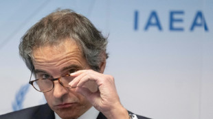 El nivel de radiactividad en Chern&oacute;bil es "anormal", dice el jefe del OIEA