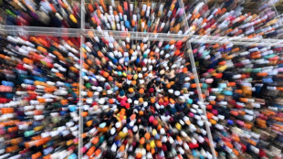 L&#039;Inde devrait devenir le pays le plus peupl&eacute; du monde d&#039;ici mi-2023 (estimations ONU)