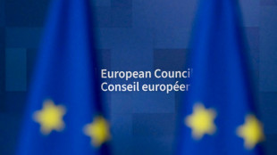 Le Parlement europ&eacute;en en passe d'autoriser une nouvelle g&eacute;n&eacute;ration d'OGM
