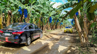 US-Bananenkonzern Chiquita kehrt nach Massenentlassungen nach Panama zurück