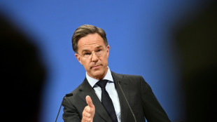 US not 'pulling away' from allies by cutting NATO commitments: Rutte