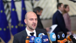 Parigi, 'al lavoro con partner su piano se Usa intervengono in Groenlandia'