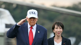 Japan und die USA st&auml;rken Zusammenarbeit und schlie&szlig;en Abkommen zu Seltenen Erden