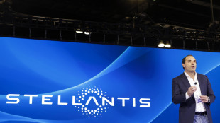 Stellantis chiude pesante in borsa, -25,17%, brucia 5,9 miliardi