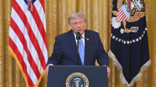 Trump revives election fraud claims ahead of US midterms