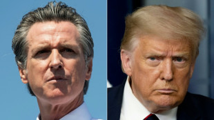 Le Texas adopte une carte électorale redécoupée à la demande de Trump