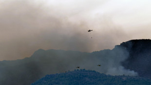 Sanchez oggi a Valencia, incendi 'ancora intensi'