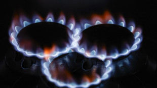 Il prezzo del gas sale oltre 97 euro al megawattora
