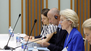 Von der Leyen, 'al lavoro con Usa, ma commercio è altrove'