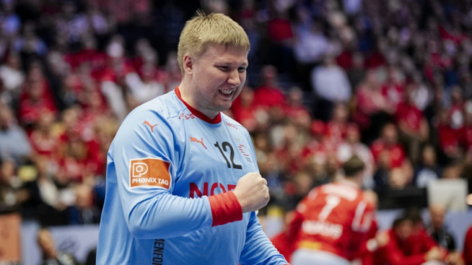 Euro de hand: les Bleus ont vu rouge face aux Danois de Nielsen