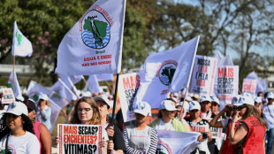 El Congreso de Brasil aprueba la flexibilizaci&oacute;n de las licencias ambientales