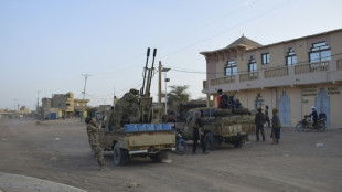 Separate goals, common enemy for Mali's jihadists and separatists